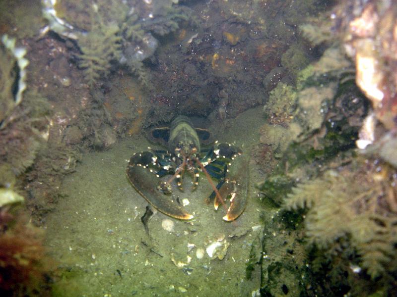 07 ZL 018.JPG